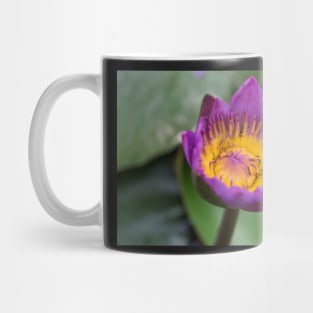 LOTUS Mug